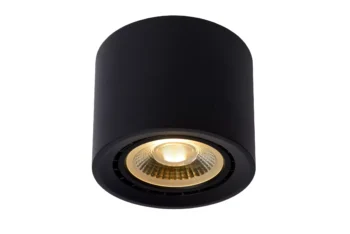 FEDLER - Spot plafond - LED Dim to warm - GU10 (ES111) - 1x12W 2200K/3000K - Noir